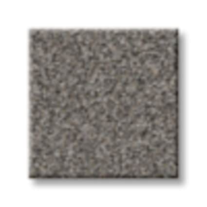 Shaw San Juan Shale Texture Carpet-Sample